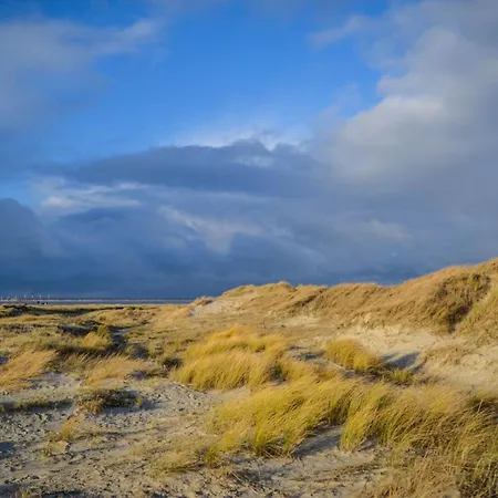 Sandduene